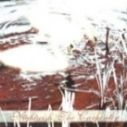 Обложка сингла The Carpenter (1997)