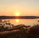 Nightwish приступили к записи вокала