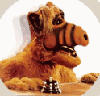 ALF++